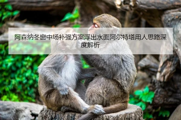 阿森纳冬窗中场补强方案浮出水面阿尔特塔用人思路深度解析